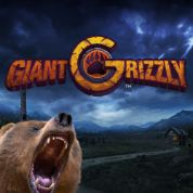 Giant Grizzly